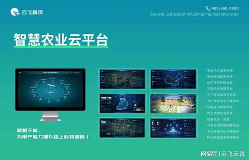全域智慧化管理服务 云飞粮油作物单产提升解决方案助力综合产能升级
